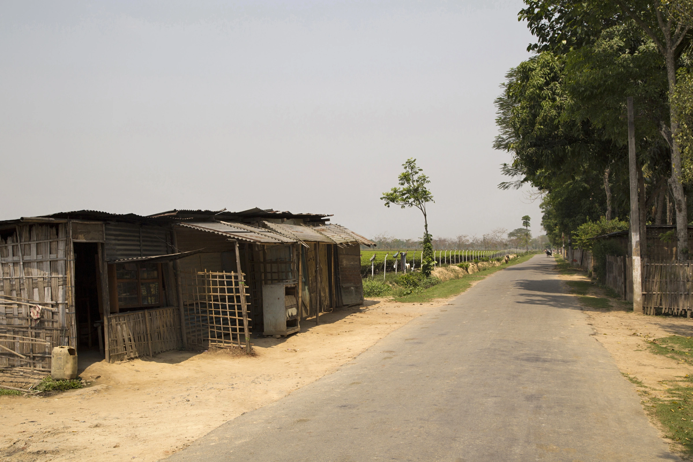 Jorhat[1].webp